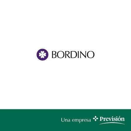 Logo Bordino